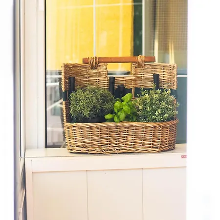 Green Home Recco