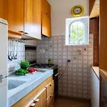 Green Home Lejlighed