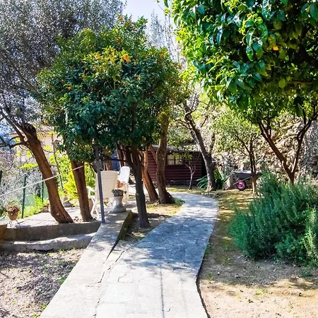 Green Home Apartment *