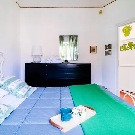 Apartment Green Home *