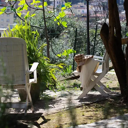 Apartment Green Home Recco