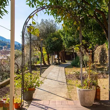 Apartment Green Home