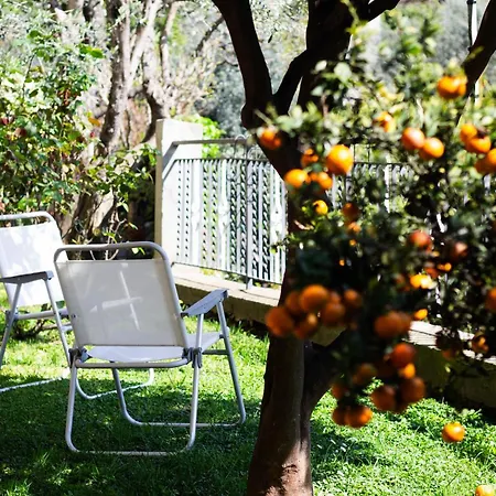 Apartment Green Home Recco