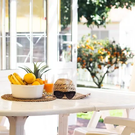 Green Home Apartment