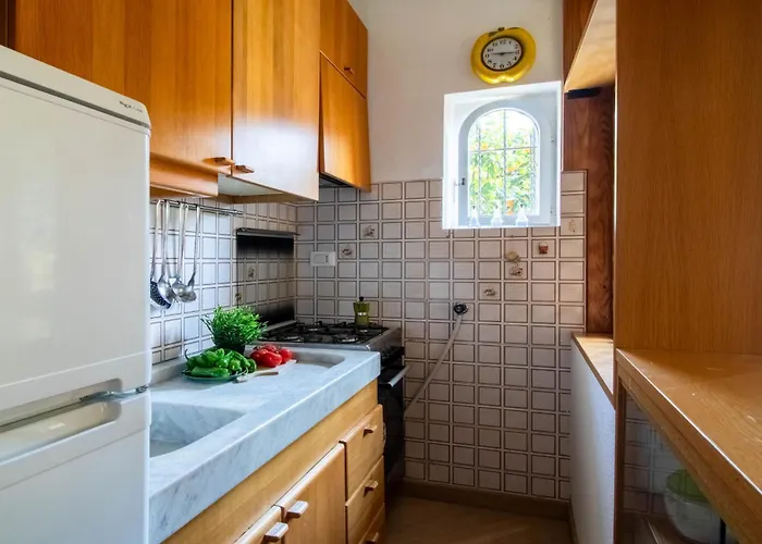 Green Home Lägenhet